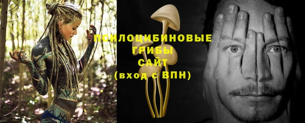 ПСИЛОЦИБИНОВЫЕ ГРИБЫ Абинск