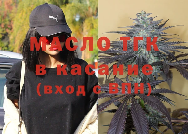 индика Алзамай